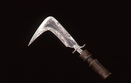 African Warrior Knife: #245 Mangbetu warrior knife 12.5" long , with a sharply curved blade. discoloration on blade.