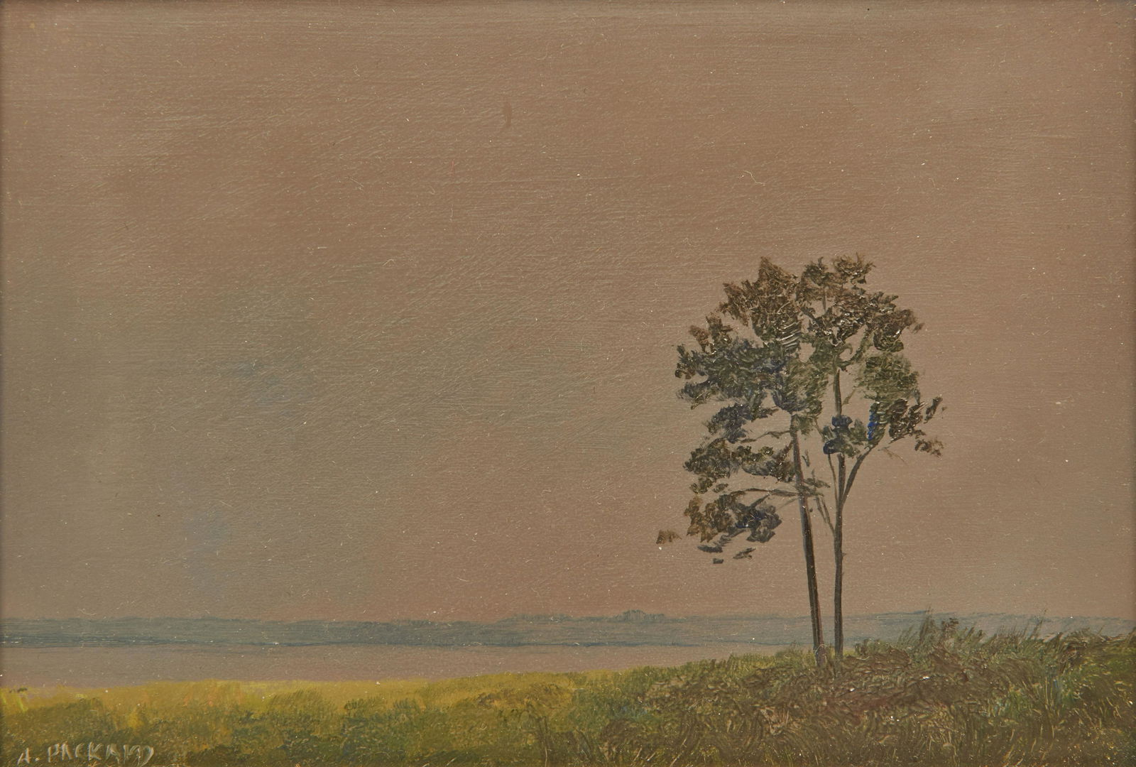 ANNE PACKARD, (American, b. 1933), Evening Sky with: ANNE PACKARD(American, b. 1933)Evening Sky with Treeoil on boardsigned A. Packard lower left5 x 7 in., frame: 7 3/8 x 9 in. Other Notes: Anne Packard Paintings (Provincetown, Massa