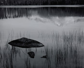 ANSEL ADAMS, (American, 1902-1984), Rocks and Grass, Moraine Lake, Sequoia National Park, California