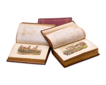 Audubon, John James (1785-1851) and Rev. John Bachman (1790-1874). The Quadrupeds of North America.
