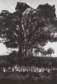 JERRY UELSMANN, (American, 1934-2022), Rock Tree, 1969