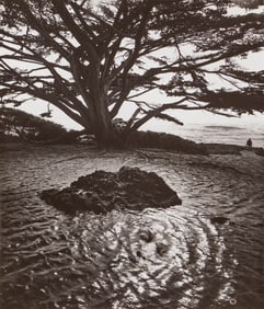 JERRY UELSMANN, (American, 1934-2022), Untitled (Rock, Tree, and Water), 1983