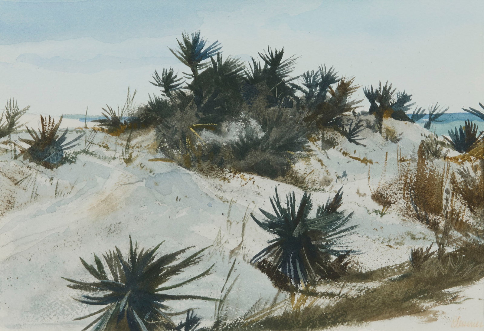 OGDEN MINTON PLEISSNER, (American, 1905-1983), Sand Dunes and Spanish Bayonets, Sea Island, Georgia, (1 of 4)