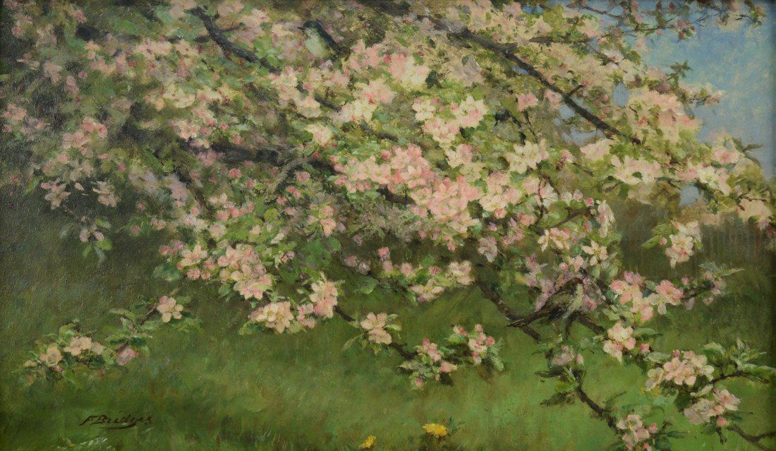 FIDELIA BRIDGES, (American, 1834-1923), PHOEBE IN APPLE: FIDELIA BRIDGES (American, 1834-1923) PHOEBE IN APPLE BLOSSOMS oil on board; signed F. Bridges, l.l.; in Newcombe Macklin Frame; Russell's canvas board label, verso; 12 x 20 inches; framed: 23 1/2 x 1