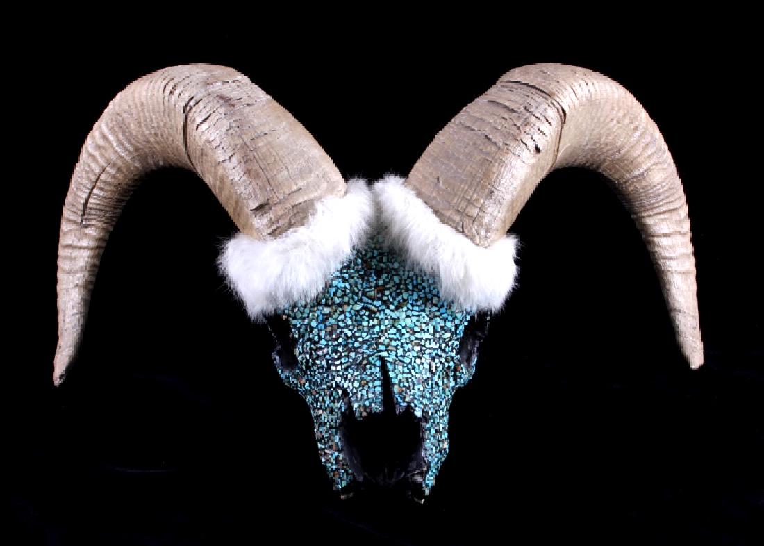 Rocky Mountain Bighorn Sheep Turquoise Ram Skull (1 of 10)