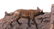 Bob Scriver "New Camp" Original Bronze Sculpture - 13