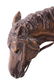 Bob Scriver "New Camp" Original Bronze Sculpture - 5