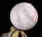 item-52371590=2
