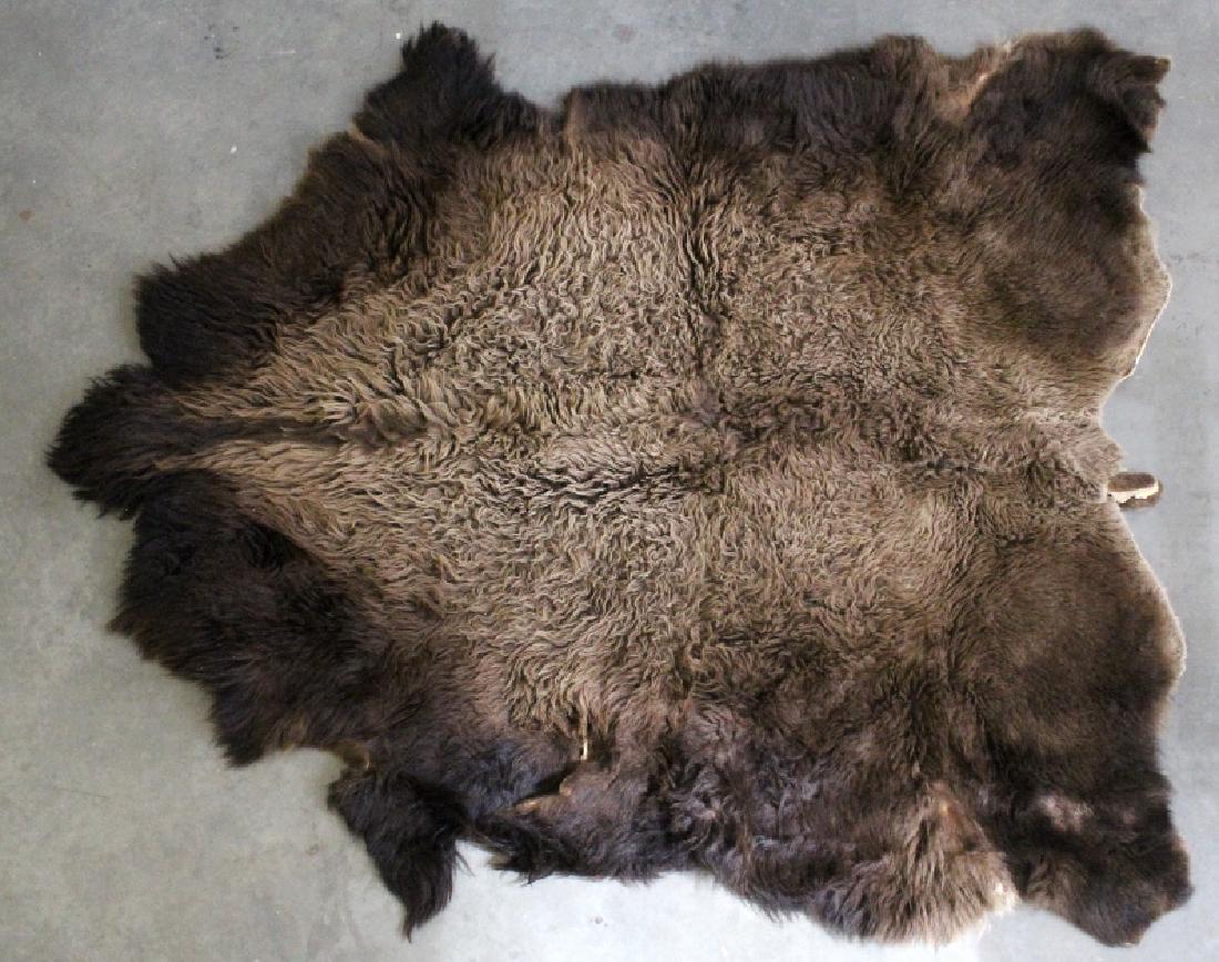 Montana Wild Buffalo Fur Hide (1 of 7)