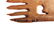 Seneca Carved Black Bear Effigy Comb 17th Century - 7