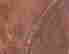 item-54673736=3