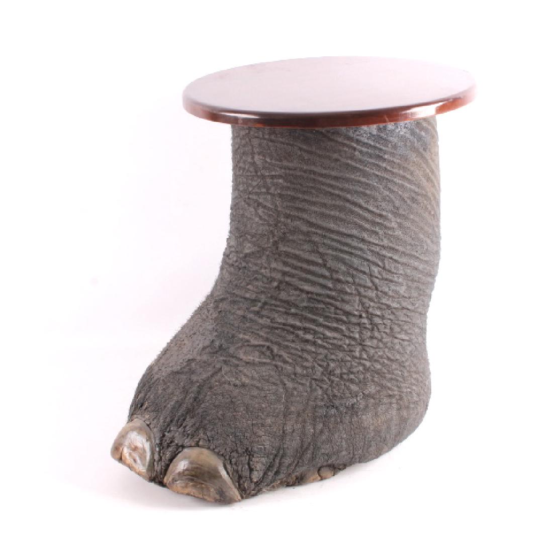African Loxodonta Foot Mahogany End Table: This is an excellent taxidermy African Loxodonta Foot full mount with a rich mahogany table top. The piece shows the impressive hide and displays very well. These were very popular in Victorian Homes 