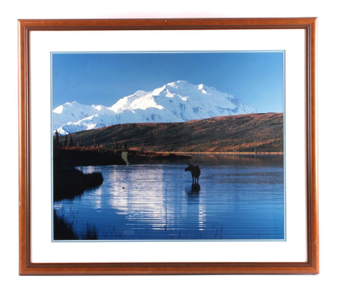 Thomas Mangelsen Framed Alaskan Moose Photograph: This is an original Thomas Mangelsen framed Alaskan Moose photograph. The photograph is titled "McKinley Reflections" and shows a lone moose wading in the river with Mt. McKinley in the background. Ma