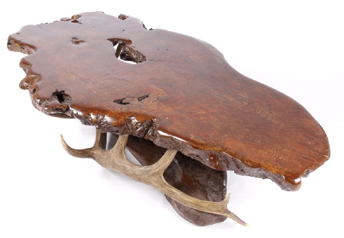 Live Edge Juniper Burl Slab & Antler Coffee Table: This lot features a live edge, juniper burl slab coffee table, supported by burl roots, and two impressive five point elk antlers. The table shows a dark rich color, and a very rustic design. The tabl