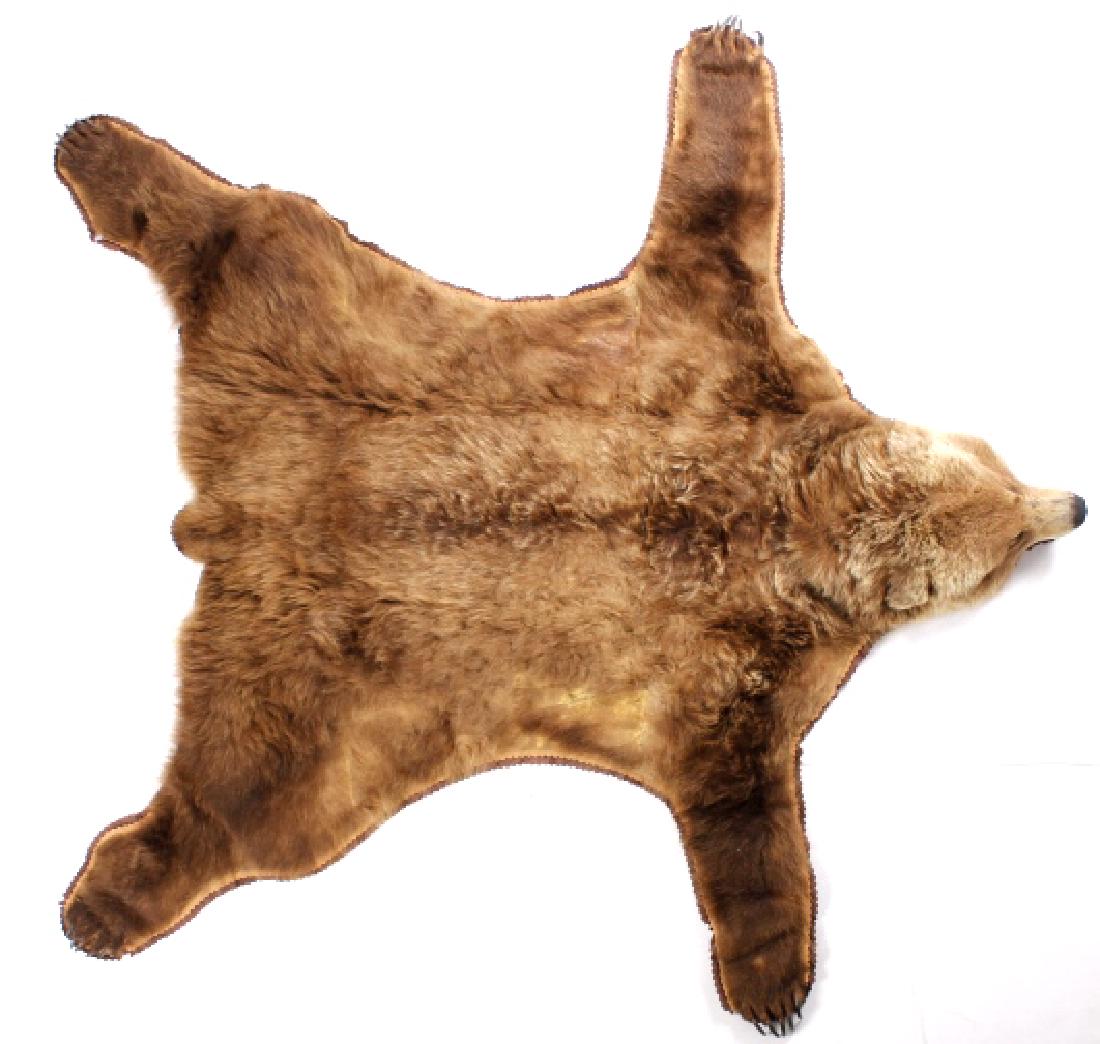 Kodiak Grizzly Brown Bear Trophy Rug RARE: This is a genuine Kodiak Grizzly Brown Bear, double mount rug. The bear was taken legally on Kodiak Island, Alaska. The bear shows all of its very impressive claws. The bear shows beautiful grizzled f