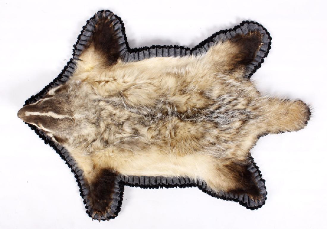 Montana Double-Mounted Trophy Badger Rug: This lot offers a viscous Montana taken Badger. The badger is double mounted on contrasting black and grey, crimped felt, with a fancy decorative linen base. The professionally mounted badger shows al