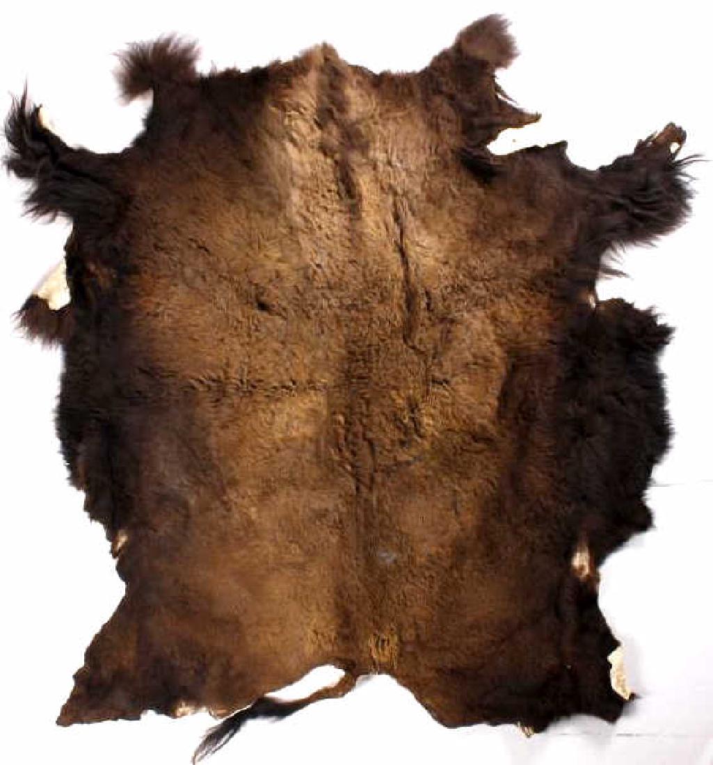 Wild Montana Trophy Buffalo Fur Hide Rug: This is a Montana taken Wild Great American Bison Buffalo hide rug. The American bison, also commonly known as the American buffalo or simply buffalo, is a North American species of bison that once ro