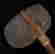 item-61243199=4