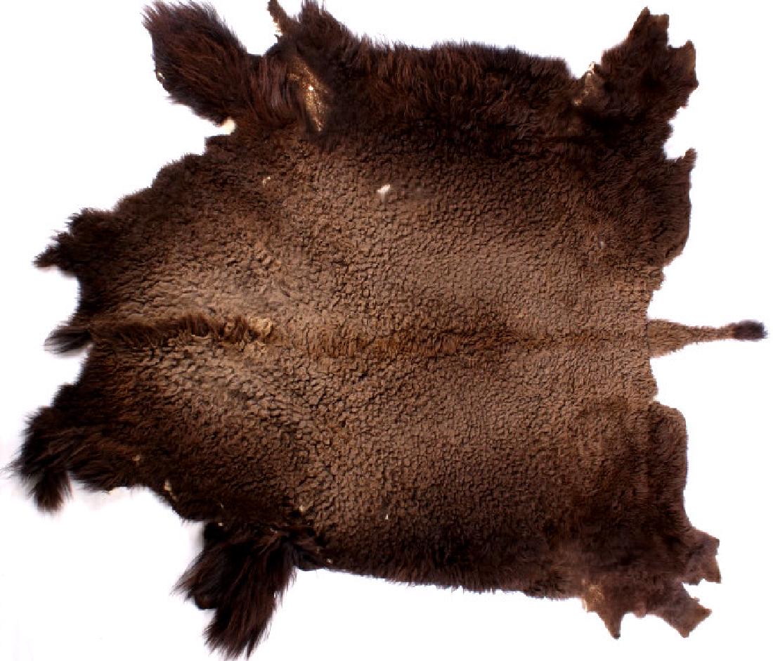 Montana Wild American Bison Fur Hide Rug