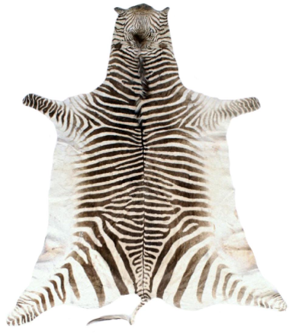 Taxidermy Trophy Zebra Hide Pelt Rug: This lot contains a full-sized zebra hide pelt rug. The rug was prepared in such a way as to keep the mane and head. The rug which was prepared by a professional taxidermist. The hide is in good condi