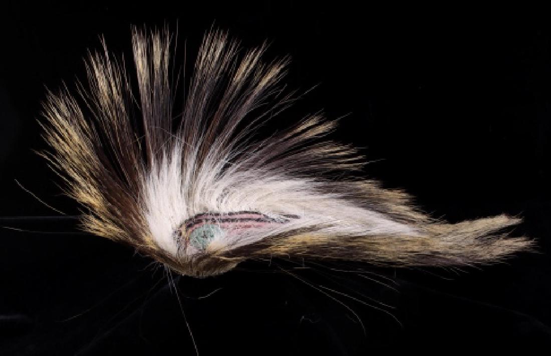 Montana Crow Porcupine Hair Roach Early 1900: This is an early and rare original Montana Crow Native American Indian hair roach dating to circa ealry 1900. The piece is crafted from porcupine hair and has the tips dyed with yellow ocher mineral p