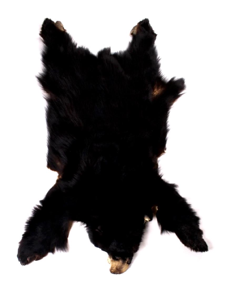 Montana Trophy Black Bear Hide: Featured in this lot is a Montana Trophy Black Bear Hide. The bear has a rich black coat with very minimal shedding. This felted bear rug shows overall good condition with a thick hide and impressive 