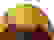 item-71990026=2