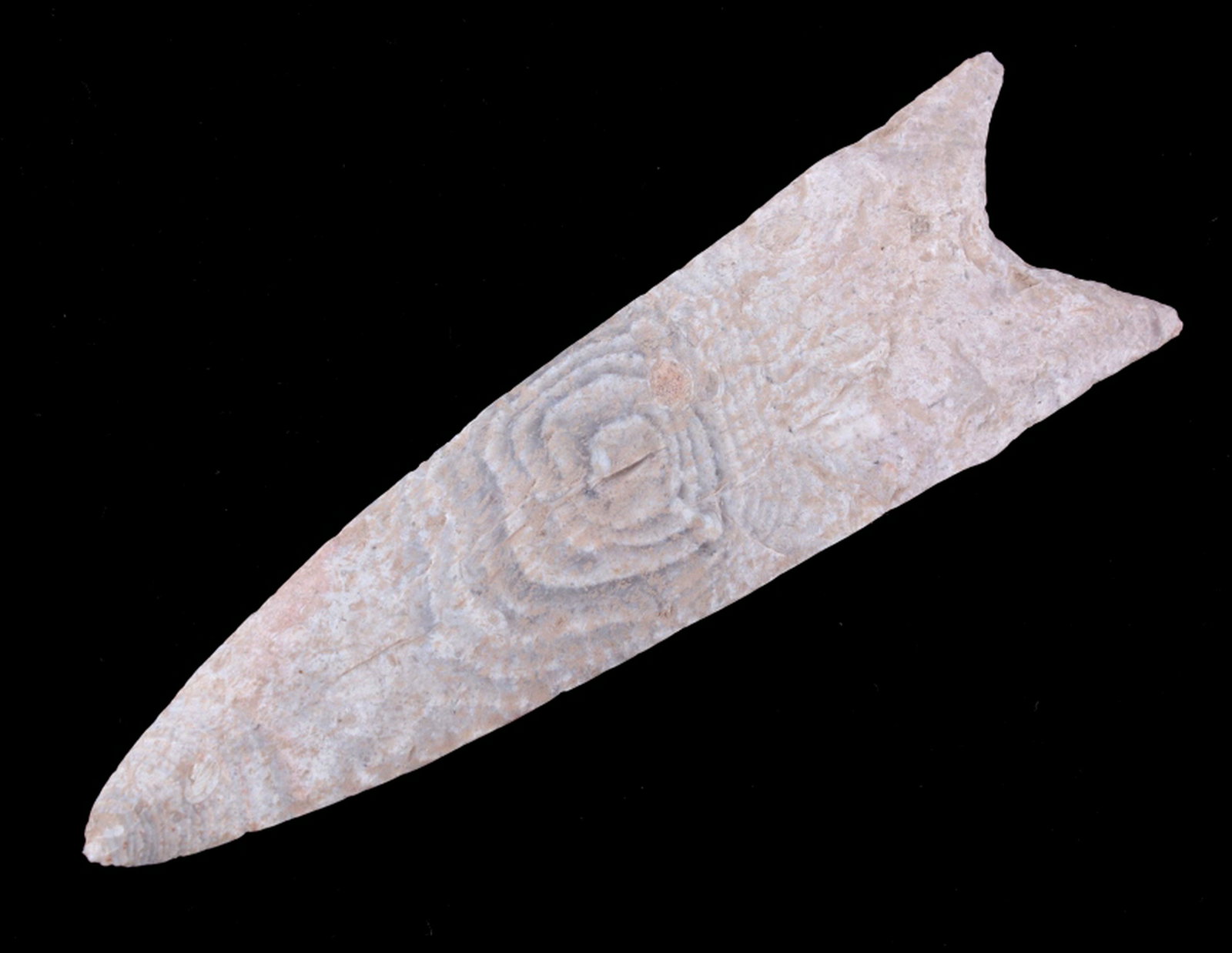 Archaic Fluted Dalton Spear Point 10500-8500 BP: This is a wonderful authentic pre-historic fluted Dalton Fishtail long spear point which shows a fluted half section on both sides with nice high grade and a book value of $2,500. The Dalton, also ref