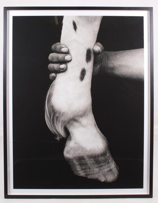 1993 Flor Garduno Pato y Mano Gelatin Silver: For your consideration is this Gelatin Silver made in 1993 by Flor Garduno called Pato y Mano. This is a good Gelatin Silver showing a horse's leg and a man's forearm and hand. The artist signature, t
