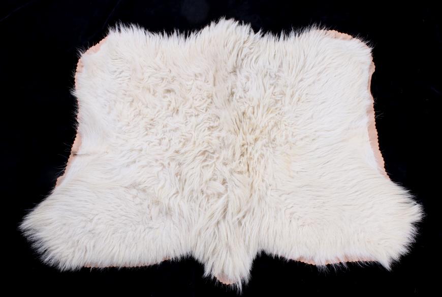 Mountain Goat Hide on Felt: In this lot we have a Mountain Goat Hide Rug from Jonas Bros in Seattle, Washington. The Felt of the Rug is a peach color and perfectly compliments the cream white fur of the mountain goat. The felt o