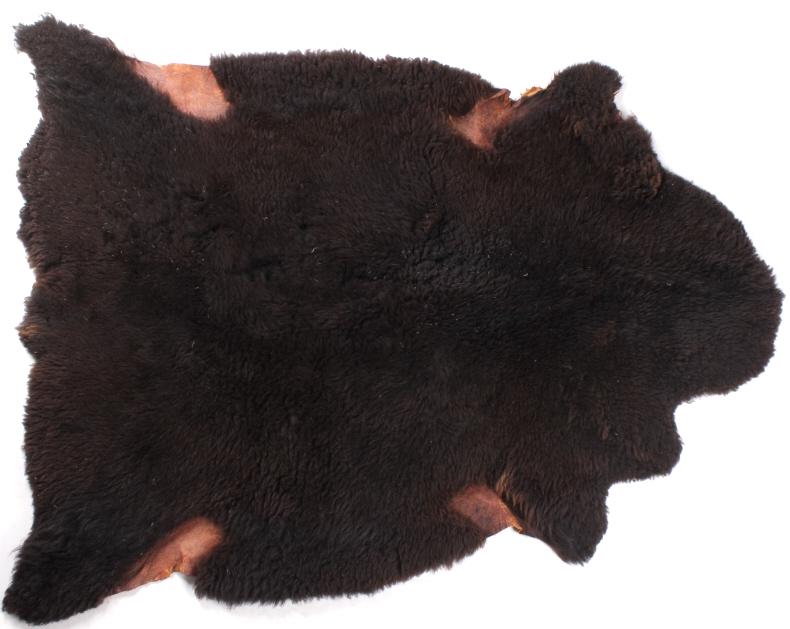 Fred Nightwalker Original Painted Hide: In this lot we have a Native American & Eagle Painting on a hide by Fred Nightwalker. This artwork has a Native American man on a brown horse. Both the horse and Indian have paint on them for a ceremo