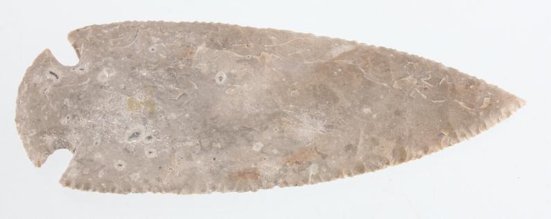 Large Tennessee Hardin Spear Point 7500-10000BP: For your consideration is this large east Tennessee Hardin spear point 7500 - 10000 BP. The Large point shows an impressive length of 6 3/4" long and displays expertly knapped serrated edges and flaki