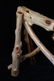 Unique Rustic Pine Log Saddle Stand - 11