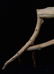 Unique Rustic Pine Log Saddle Stand - 8