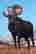 item-91616408=9