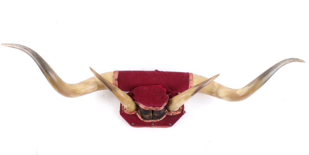 Montana Double Steer Horn Wall Mount: Included in this lot is a Montana double steer horn hanging wall mount. The mount displays a pair of large steer horns set across the top and a smaller pair across the bottom. The horns are set with r