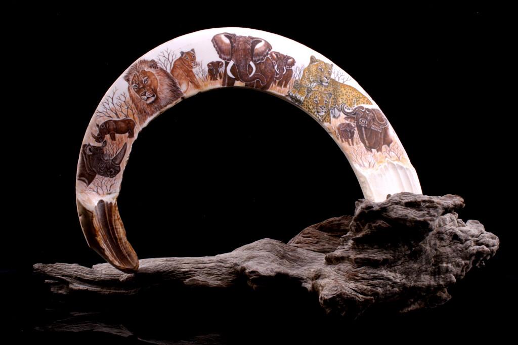 African Game Trophy Scrimshaw Hippo Tooth: Featured in this lot is this African game trophy scrimshaw hippo tooth. The tooth shows wonderful scrimshaw design of African animals, including rhinos, lions, elephants, cheetahs, and oxen. The tooth