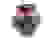 item-101954577=2