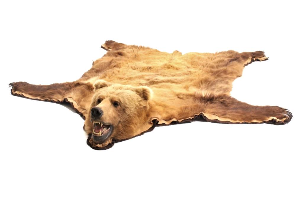Alaskan Kodiak Brown Bear Trophy Full Rug (1 of 19)