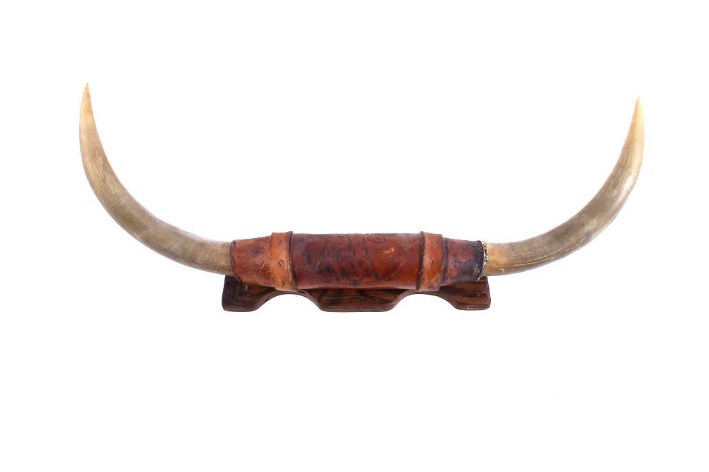 Montana Leather Wrapped Steer Horn Wall Mount (1 of 17)