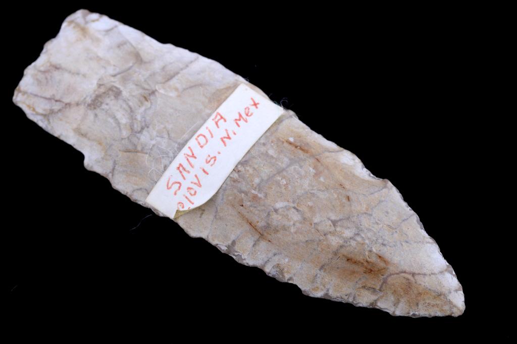 Sandia Clovis NM Point 15,000 - 10,000 B.P.: Featured in this lot is this Sandia Clovis New Mexico point aged from The Transitional Paleo Period and from 10,500 - 9,500 B.P. The point shows a cluster design with base flute and a serrated edge; t