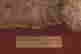 item-120213855=10