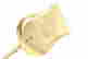 item-120213864=16