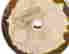 item-130698390=19