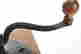 item-130699008=9