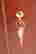 item-136491170=20