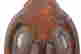 item-136491528=14