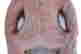 item-136491528=5