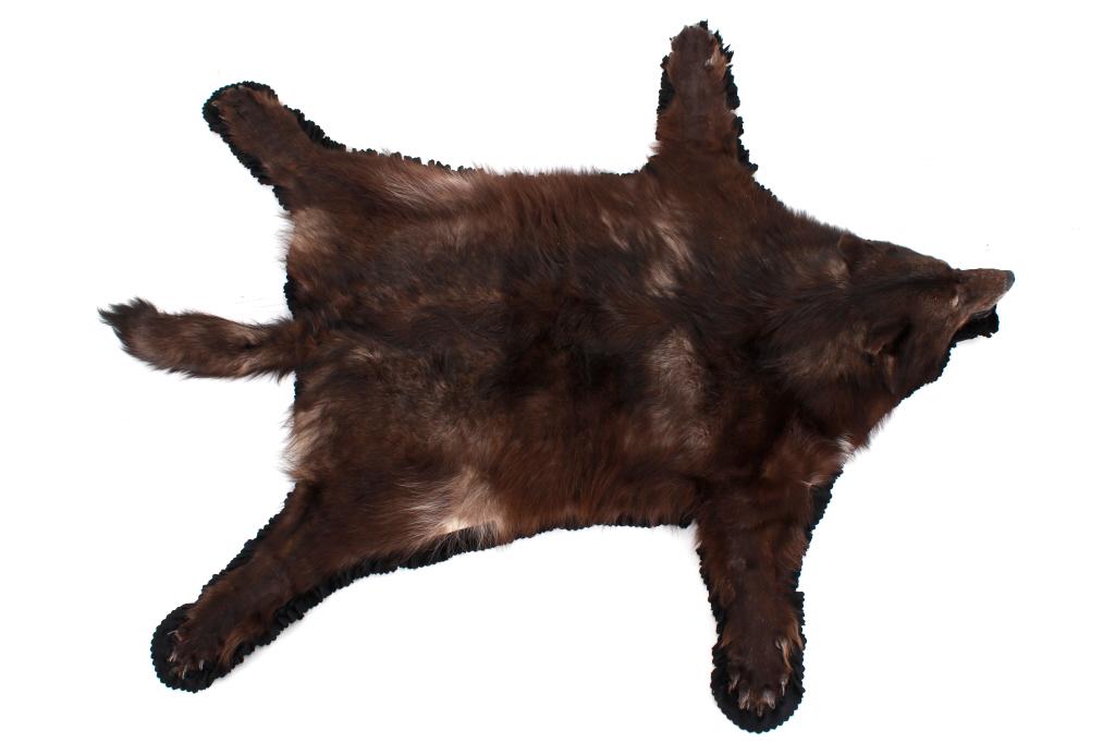 Montana Black Wolf Double Felted Taxidermy Rug Nov 12, 2022 North