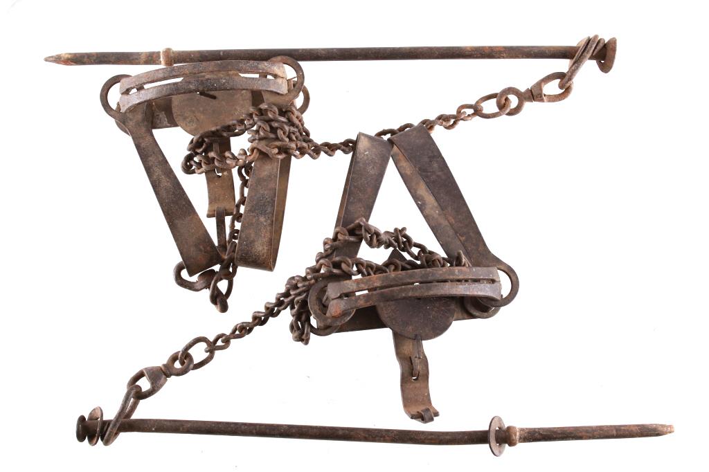 Oneida Victor #3 Double Long Spring Traps (2) (1 of 9)